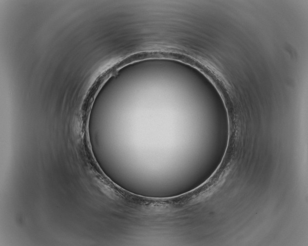 X0000113200974200909171510