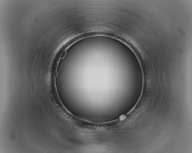 X0000113200975200909171510