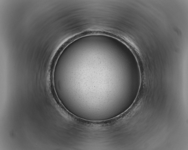 X0000113200976200909171510