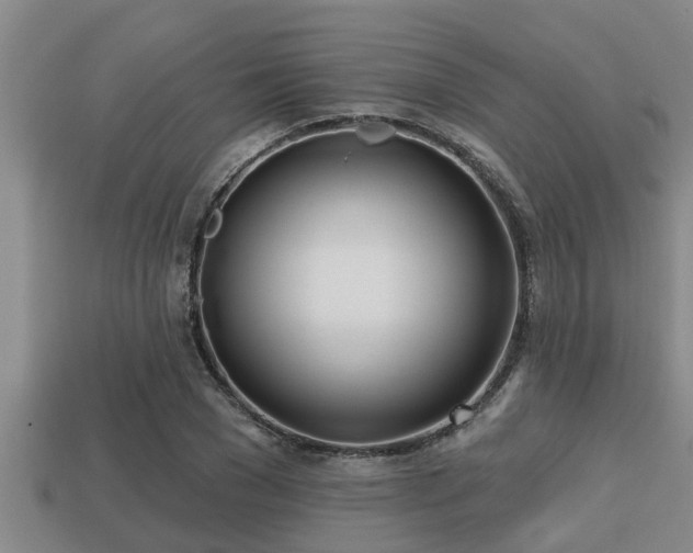 X0000113200977200909171510