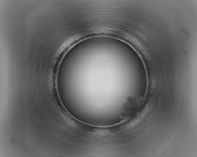 X0000113200978200909171510