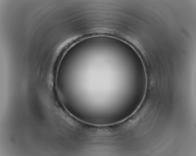 X0000113200979200909171510