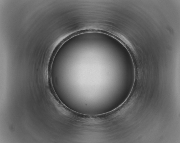 X0000113200980200909171510