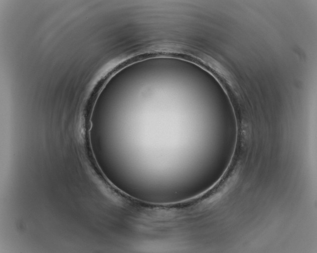 X0000113200981200909171510