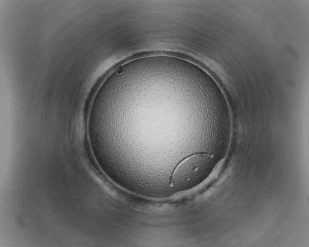 X0000113200982200909171510