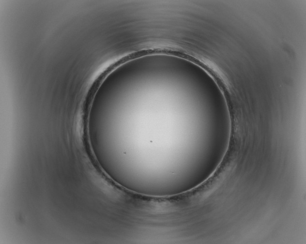 X0000113200983200909171510