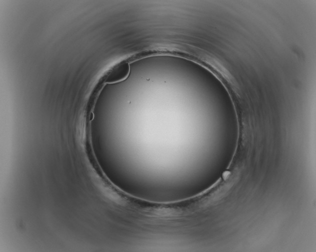 X0000113200984200909171510