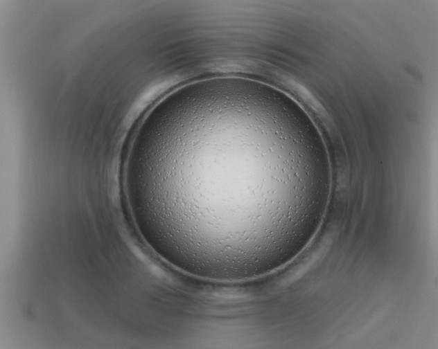 X0000113200986200909171510