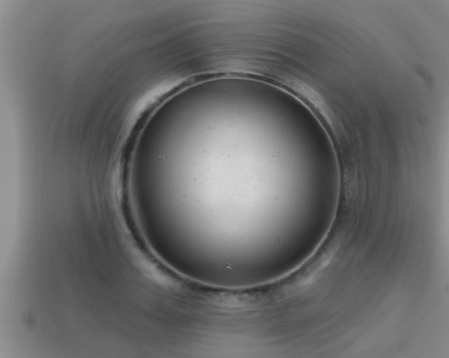 X0000113200987200909171510