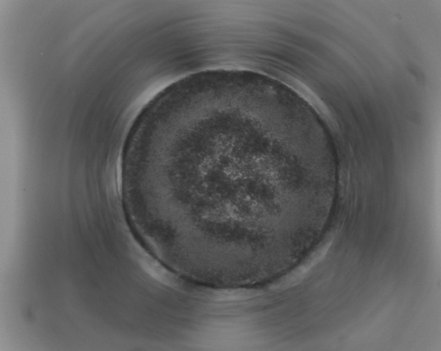 X0000113200988200909171510