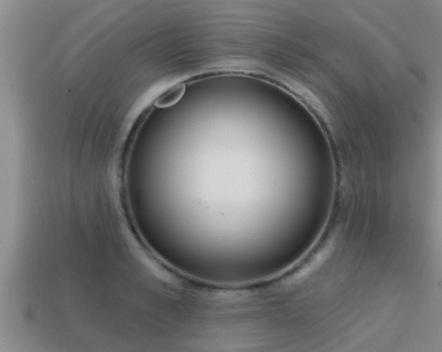 X0000113200989200909171510