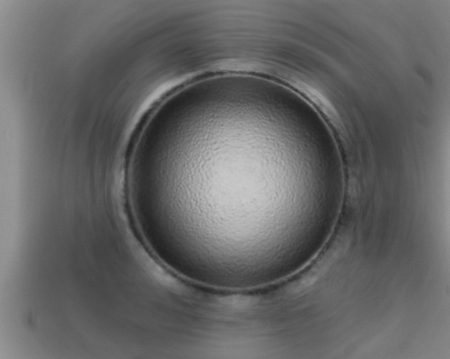 X0000113200992200909171510