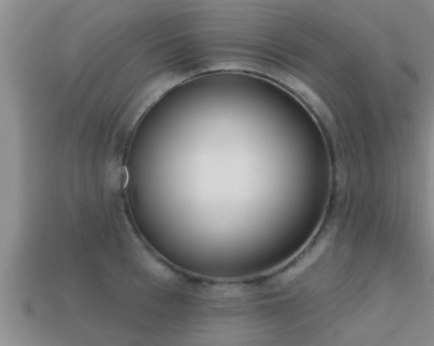 X0000113200993200909171510