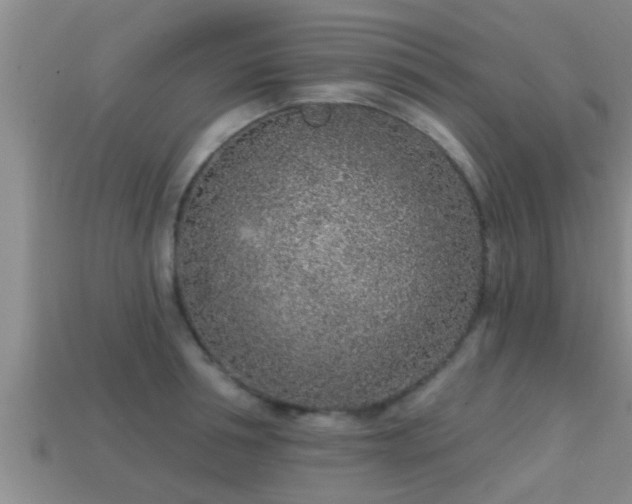 X0000113200994200909171510