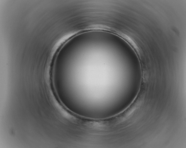 X0000113200995200909171510