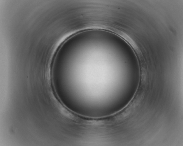 X0000113200996200909171510