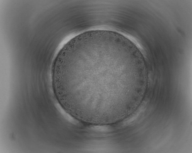 X0000113200998200909171510