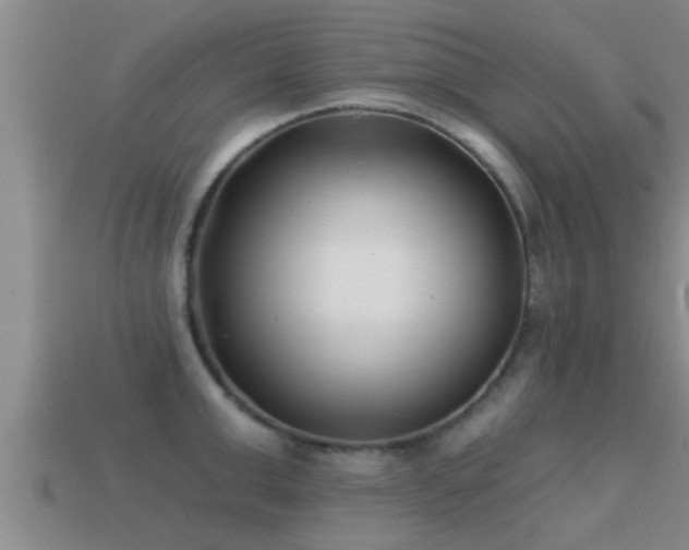 X0000113200999200909171510