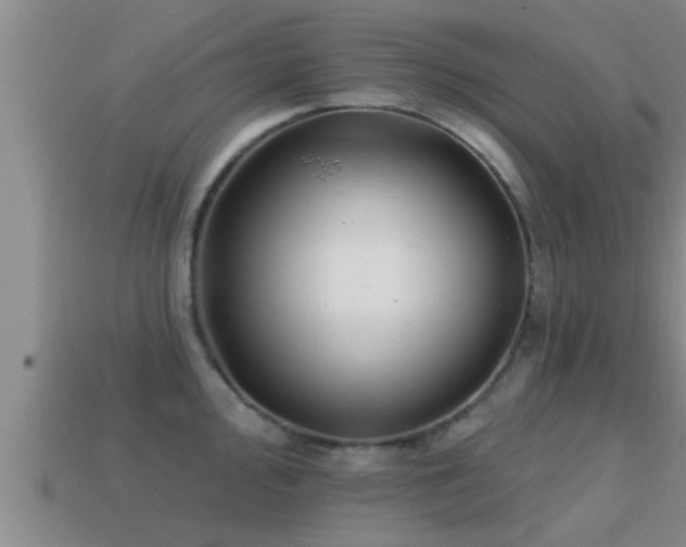 X0000113201000200909171510