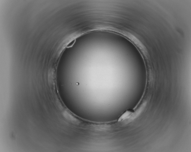 X0000113201001200909171510