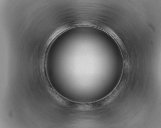 X0000113201002200909171510