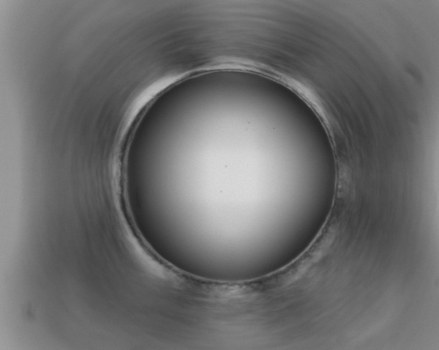 X0000113201003200909171510