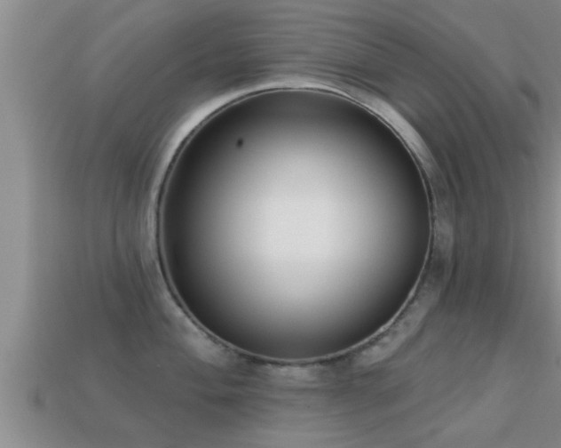 X0000113201004200909171510