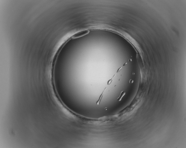 X0000113201005200909171510