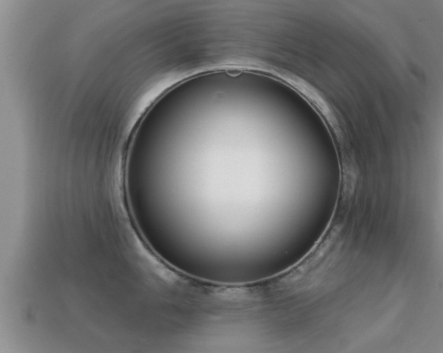 X0000113201006200909171510