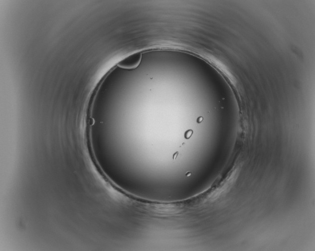 X0000113201007200909171510