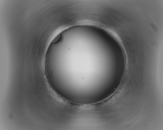 X0000113201008200909171510