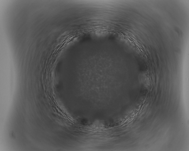 X0000113201009200909171509