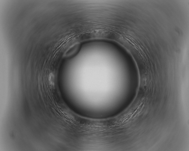 X0000113201010200909171509