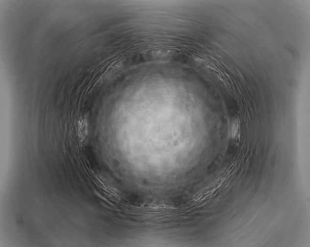 X0000113201011200909171509