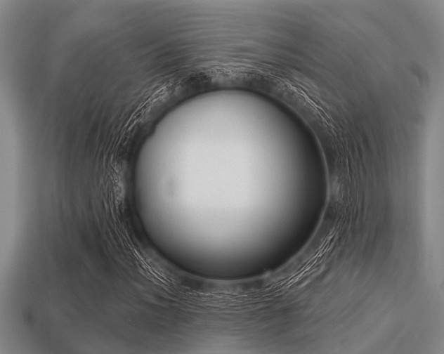 X0000113201012200909171509