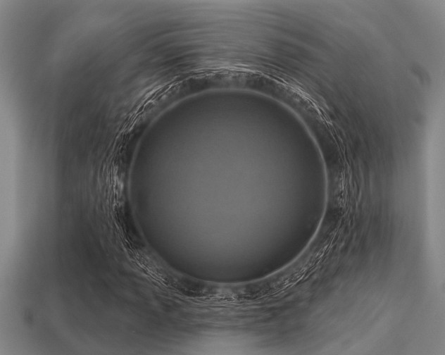 X0000113201013200909171509