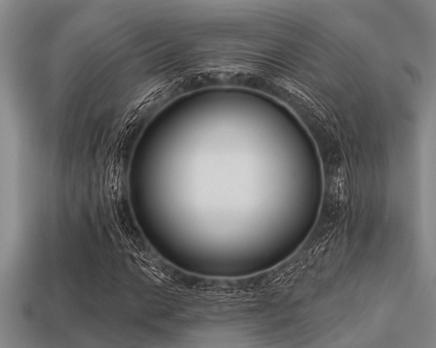 X0000113201014200909171509