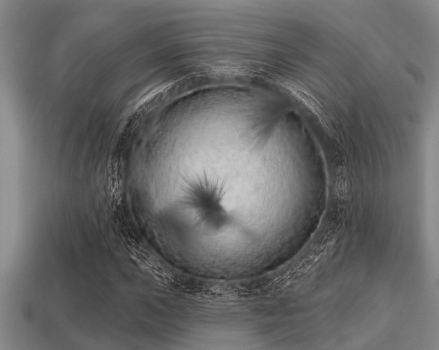 X0000113201015200909171509