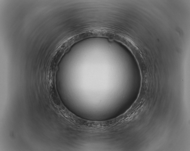 X0000113201016200909171509