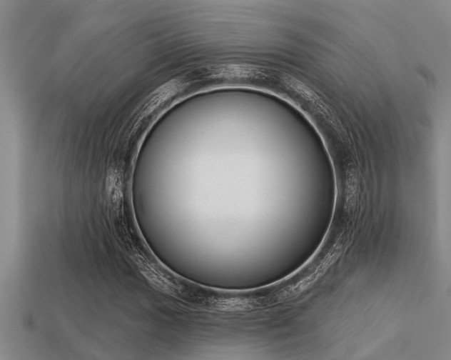 X0000113201017200909171509