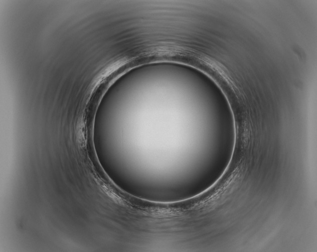 X0000113201018200909171509