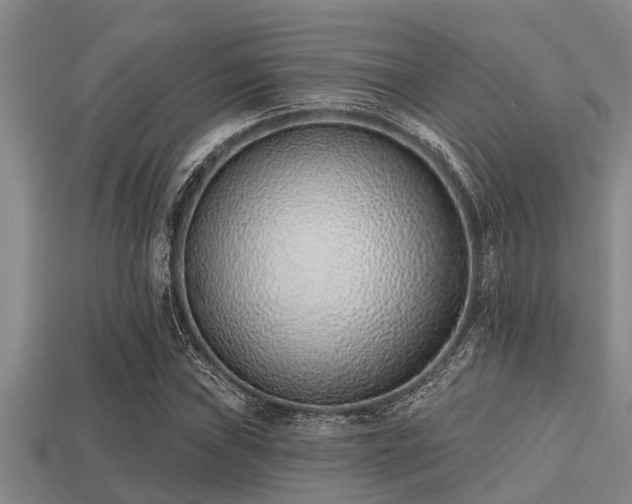 X0000113201019200909171509