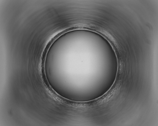 X0000113201020200909171509