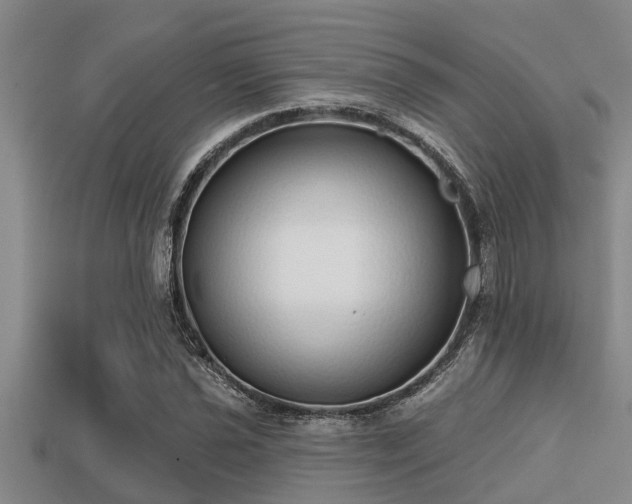 X0000113201021200909171509