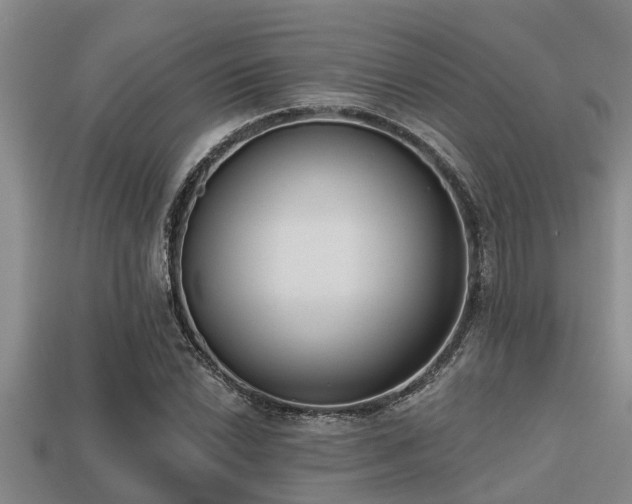 X0000113201022200909171509