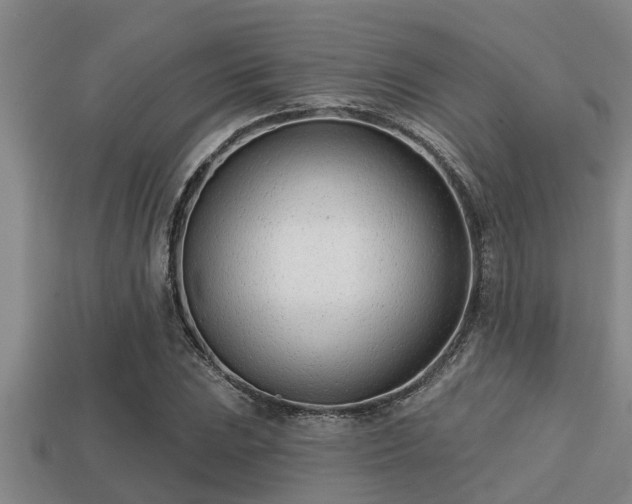 X0000113201023200909171509