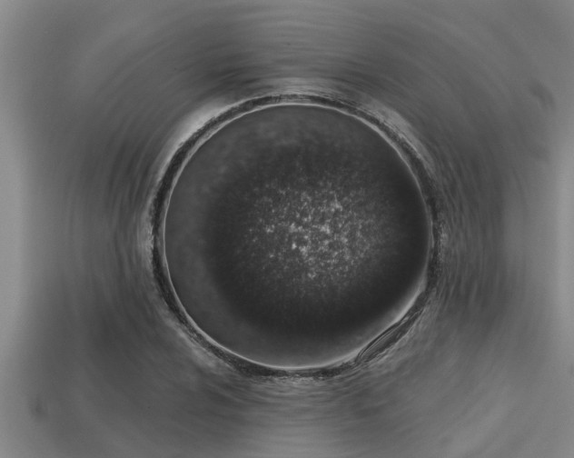 X0000113201024200909171509