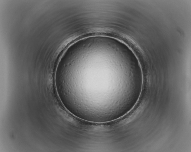 X0000113201025200909171509