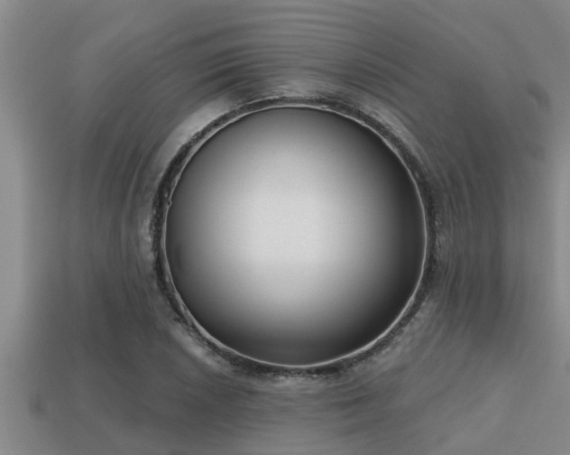 X0000113201026200909171509