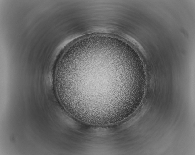 X0000113201027200909171509